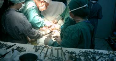 Stire din Sănătate : Cât de importantă este donarea de organe