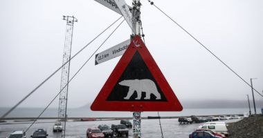 Stire din Actualitate : Orașul cu cel mai curat aer din lume, unde Wi-Fi-ul este interzis