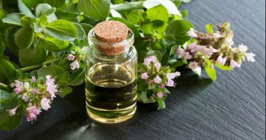 Stire din Sănătate : Uleiul de oregano, de folos în tratarea răcelilor și a gripei