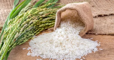 Cum evitați excesul de orez și descoperiți noi surse de nutrienți