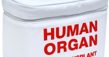 Stire din Sănătate : Ziua națională a transplantului