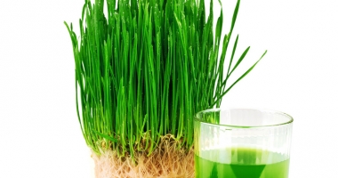 Stire din Sănătate : Super-alimentul secolului: pudra de orz verde