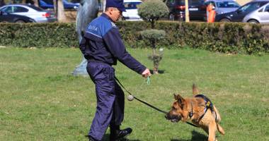 Galerie foto. Spectacol de Ziua Poliției. Ostatic eliberat și bombă detonată, în centrul Constanței - 4
