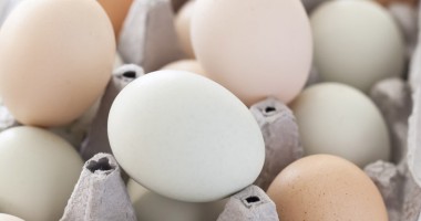 Stire din Economie : De ce am ajuns să dăm mai mult pe ouă decât pe carne