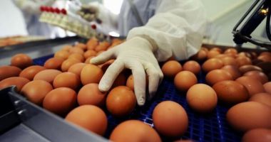 Scandal alimentar: 4,3 milioane de ouă contaminate cu antibiotice, retrase de pe piață