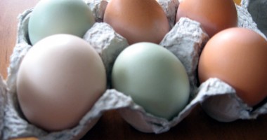 Stire din Economie : Cât mai durează criza ouălor în Constanța