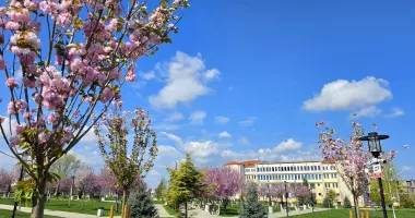 Stire din Cultură-Educație : Proiectul „University Park” a pierdut un partener-cheie. Episodul „Nu mai comentați, donați!” se uită greu