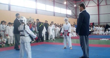 Stire din Sport : Karate: La Cupa Mickey Mouse au participat 385 de copii