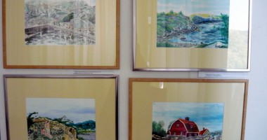 Un artist constănțean fascinat de peisajele Suediei - 2