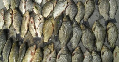 Bărbat amendat cu 4.000 de lei pentru că a pescuit ilegal