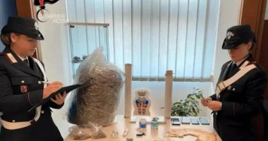 Stire din Actualitate : Un moldovean s-a trezit acasă cu un colet cu 9 kg de marijuana
