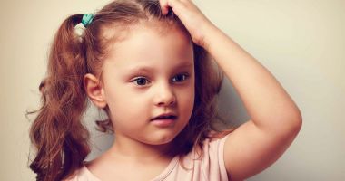 Stire din Sănătate : Frunzele de eucalipt vă ajută să scăpați de păduchi