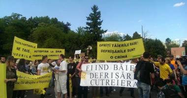 Românii ies în stradă, astăzi, împotriva defrișărilor abuzive