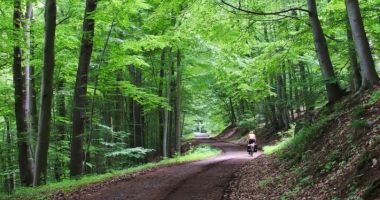 Stire din Actualitate : Fetiță de 13 ani, găsită moartă în pădure, la Telciu