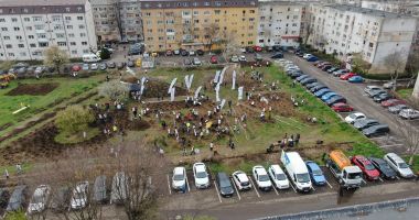 Stire din Social : Prima mini-pădure urbană din Constanța a fost plantată în cartierul  Inel 2