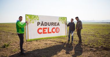 Pădurea CELCO ia naștere în județul Constanța - 4