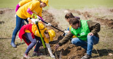 Pădurea CELCO ia naștere în județul Constanța - 2