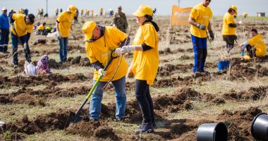 Pădurea CELCO ia naștere în județul Constanța - 3