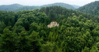 Stire din Actualitate : Romsilva a regenerat 13.227 hectare de păduriîn 2021. Bugetul alocat se apropie de 200 milioane lei