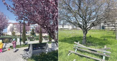 Stire din Social : Contrast revoltător în fața Universității „Ovidius” Constanța. Parc înflorit versus teren pustiit