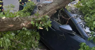 Codul de vreme rea a lăsat în urmă haos: răniți, inundații și intervenții în zeci de zone
