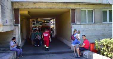 Constănțenii, disperați de atacul insectelor. Invazie de păianjeni, țânțari și purici, pe litoral - 4