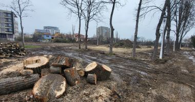 Adio, junglă şi mizerie! Au intrat buldozerele pe terenurile de la Palatul Copiilor - 4