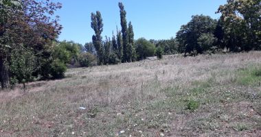 Printre bălării cât casa! Ce mai înseamnă performanța la Palatul Copiilor - 4