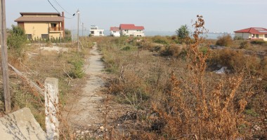 Viața la țară, în Palazu Mare - 8
