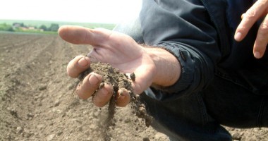 Stire din Economie : Agricultorii constănțeni pot sta liniștiți. Nivelul de umiditate din sol este unul optim