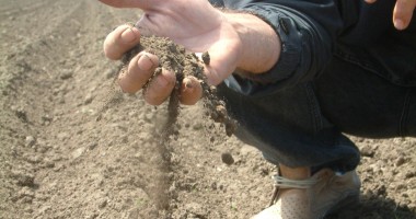 Stire din Economie : Buletin agrometeorologic. Seceta încă își face simțită prezența în Dobrogea