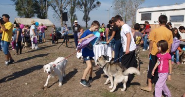 Stire din Social : Cei mai frumoși și mai ascultători căței, premiați la Medgidia Galerie foto