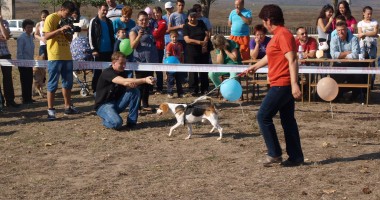 Cei mai frumoși și mai ascultători căței, premiați la Medgidia\ Galerie foto - 3