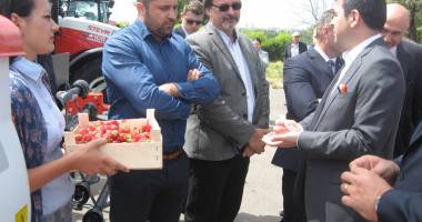 Parada mașinilor și utilajelor agricole, la EXPOAGROUTIL - 26