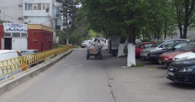 La trap pe bulevardele Constanței. Căruțașii fac slalom printre mașini, polițiștii îi "gâdilă" cu amenzi - 2