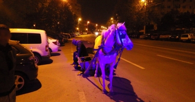 La trap pe bulevardele Constanței. Căruțașii fac slalom printre mașini, polițiștii îi "gâdilă" cu amenzi - 5