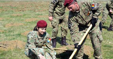 Pădurea Parașutiștilor, în memoria erorilor neamului