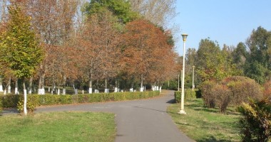 Stire din Social : Campanie de ecologizare în parcul Tăbăcăriei