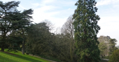 Stire din Social : Proiectul de milioane "Parc Evergreen" a fost finalizat