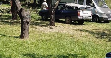 UPDATE / LA UN PAS DE TRAGEDIE, ÎN "PARCUL VIITORULUI". UN COPAC A CĂZUT PESTE DOI COPII! - 1