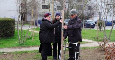 Stire din Social : Constănțenii au un parc în memoria persoanelor dragi, trecute în neființă