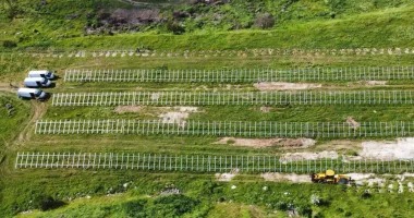 Stire din Social : Murfatlar va avea parc fotovoltaic. Primăria reduce facturile la energie