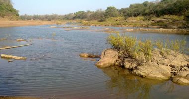 Stire din Actualitate : UNESCO retrage cel mai mare parc natural din Senegal de pe Lista Patrimoniului Mondial în Pericol