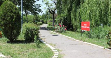 Imagini DE VIS din Parcul Tineretului. Din păcate, nu sunt din Constanța… - 4