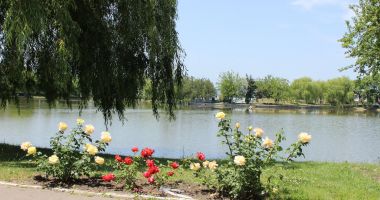 Imagini DE VIS din Parcul Tineretului. Din păcate, nu sunt din Constanța… - 6