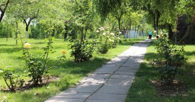 Imagini DE VIS din Parcul Tineretului. Din păcate, nu sunt din Constanța… - 3