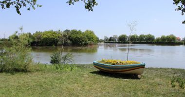Imagini DE VIS din Parcul Tineretului. Din păcate, nu sunt din Constanța… - 5