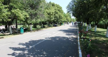 Imagini DE VIS din Parcul Tineretului. Din păcate, nu sunt din Constanța… - 9
