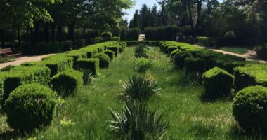 Parcul "Lordului valah" vs. Parcul Arheologic. Feeria și munca de Sisif - 9