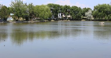 Imagini DE VIS din Parcul Tineretului. Din păcate, nu sunt din Constanța… - 10